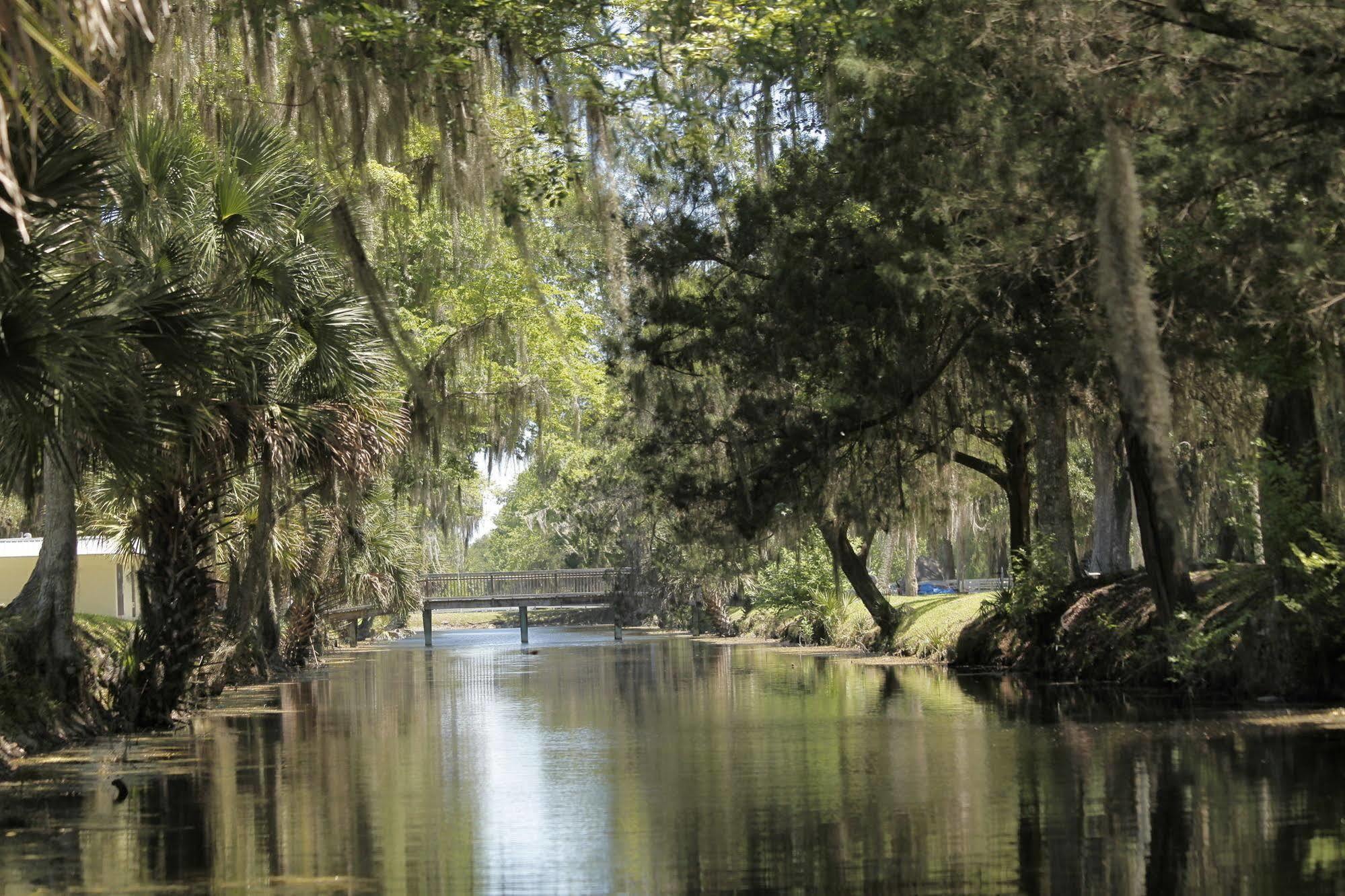 Bulow Rv Resort Flagler Beach Bagian luar foto